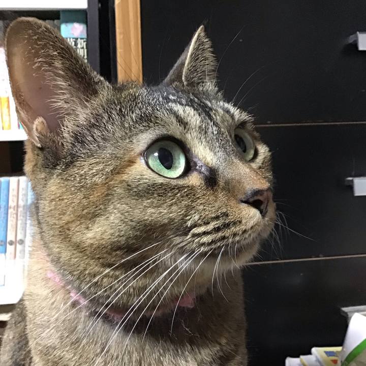 47988fea 4372 4b82 b9a3 57c463a471dd 1730970157234