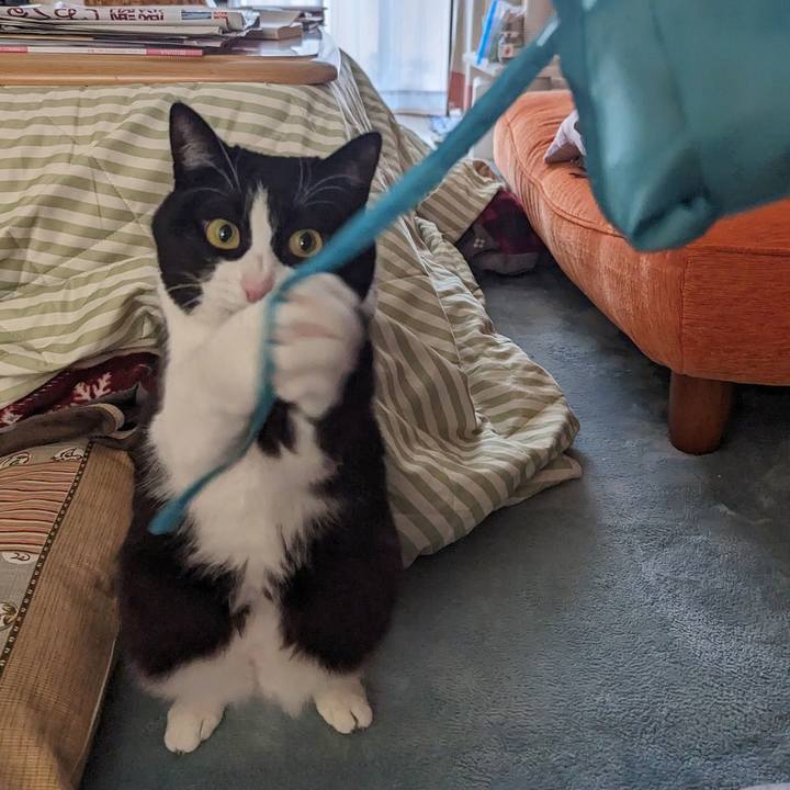 47989f07 4b61 4760 a71d a7ccea95d30a 1708754084862