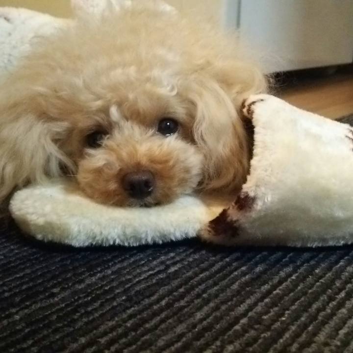 4798a77a 9ac8 4975 b0af 163c60254284 1514504071584