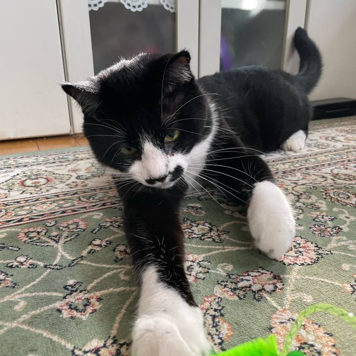 4798bb53 84ce 488a 80ad 268ee531f945 1690323034314