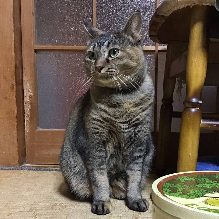 4798c75e 642b 46bf a340 26699aea60d1 1728385690453