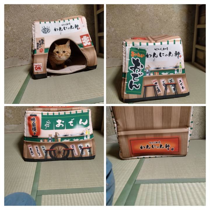 4798c856 d33f 42a1 b310 788b5ad5683a 1667380056382