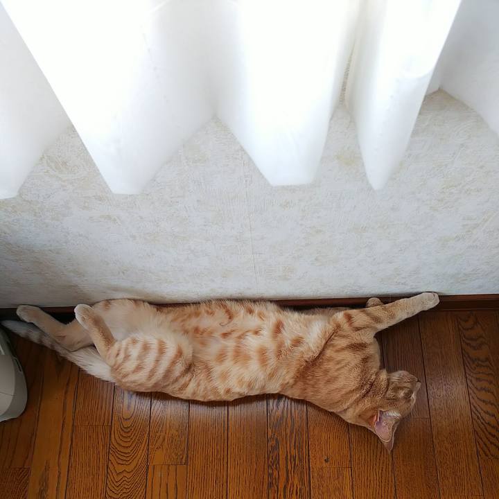 47990236 4fd2 486f b39a a35903559609 1567299789868