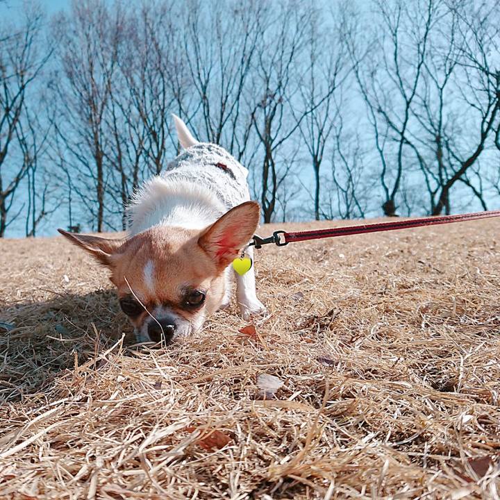 47990b07 380d 49ae 9a87 63615e336412 1582790267394