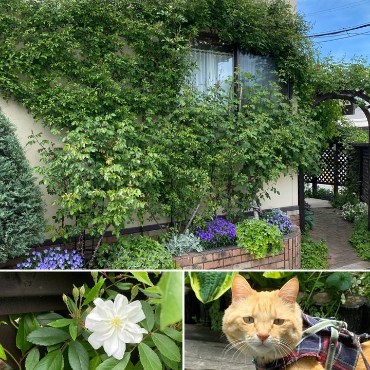 47994068 1210 466e b61b c03ba7064690 1652405793706