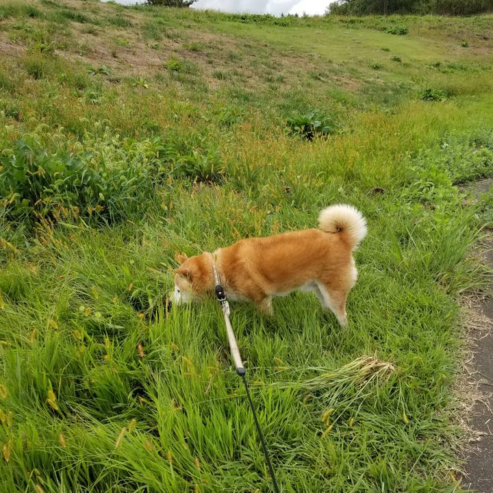 4799777e 5ab4 4141 b08e d648a262206a 1695451418675