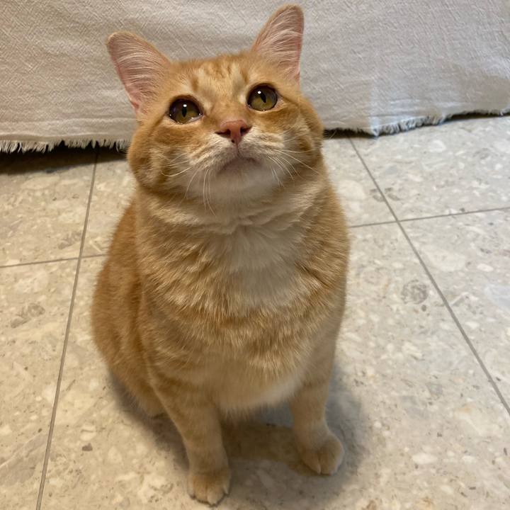 47997ed2 60b8 4365 9610 a087081c7f4b 1759670229081