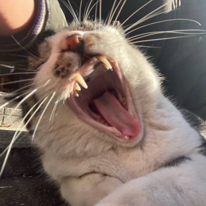 47999093 23a5 41d5 a288 9bdedb12a5d0 1640395105263