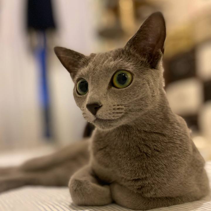 4799b026 47dd 450d a146 bd4ab1f3c0ca 1623756463108