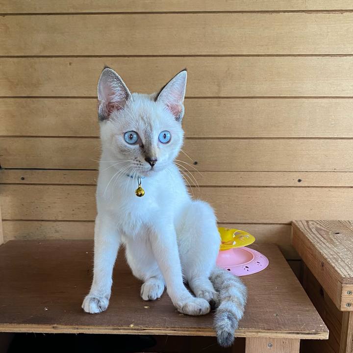 4799b655 51d5 4201 89b8 c4086a9382b9 1632574286587