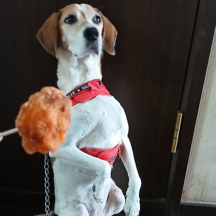 4799ba09 ec2e 4649 9c51 dea23208e2e6 1758337748302