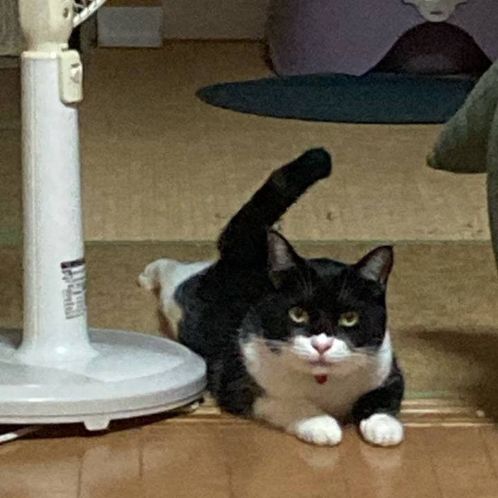 4799cadb 18e9 4394 bafe 09b92d56bd30 1629986338351