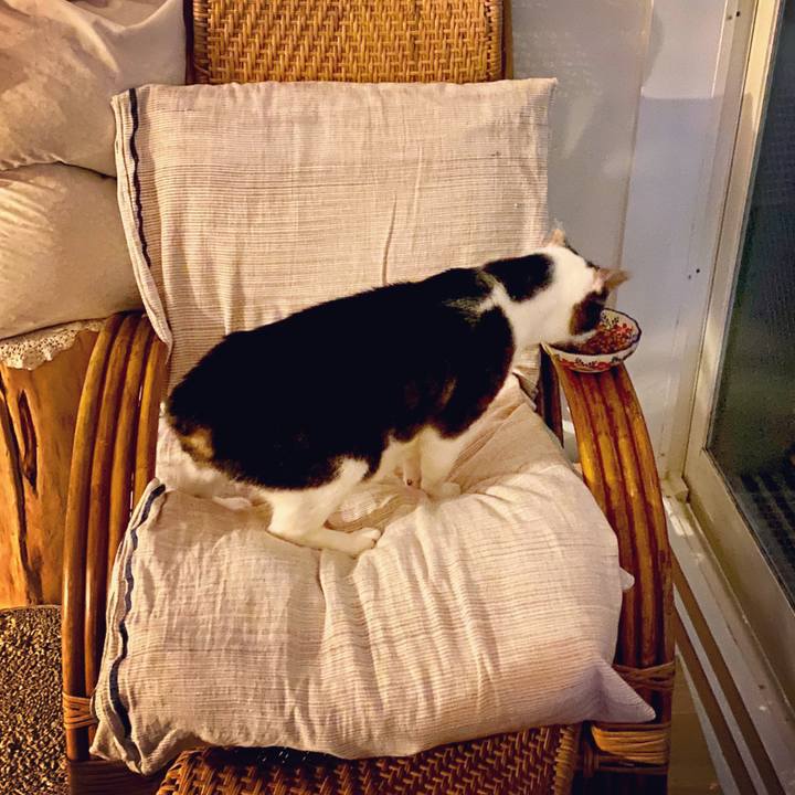 4799d7ee 08e5 4cbc 9f16 34cdfe9563be 1594905344661