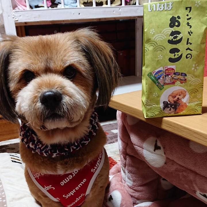 4799f0f7 bba4 4cad 8f0b 808a83b3655c 1546436530663