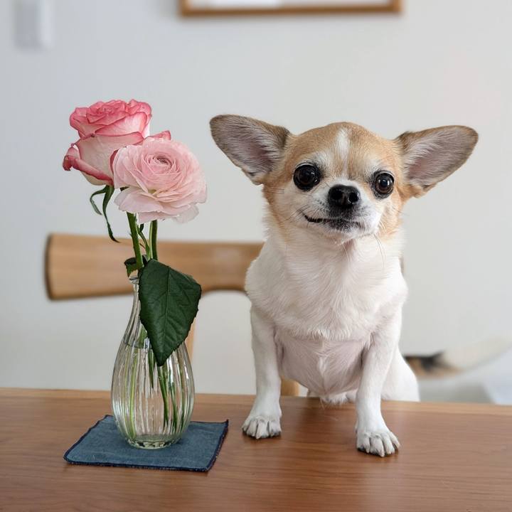 479a06bf eb76 425e a2cd 4beb5f7f613c 1772775078351