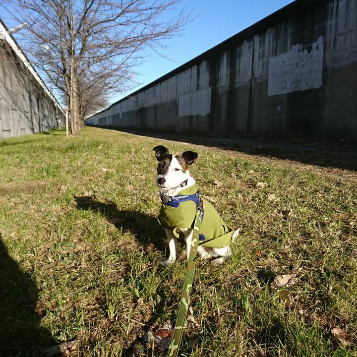 479a2518 83e2 4c88 af71 f10830bf7cfa 1514936602882