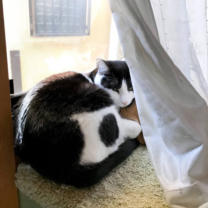 479a268d eeee 4087 9192 493b3d3b8471 1522679133957