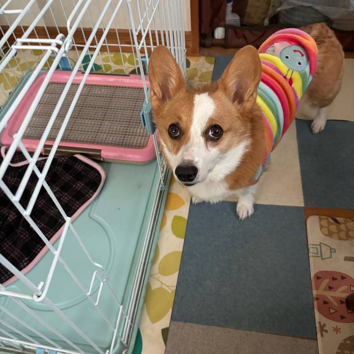 479a329f d34a 4314 a266 2630da039f6a 1765523796610