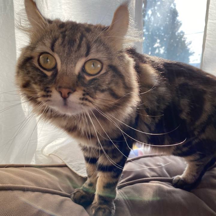 479a78d7 db71 4203 98a7 2775b81c038a 1575860659350