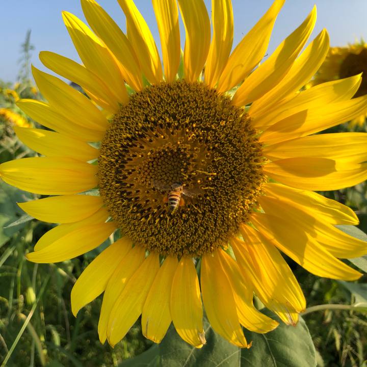 479a7f45 bef6 441c be36 82c3af0f8011 1566097928275