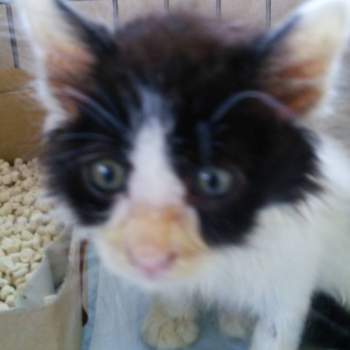 479aa8e2 24a1 4004 837e 1932386bfa21 1619171858258