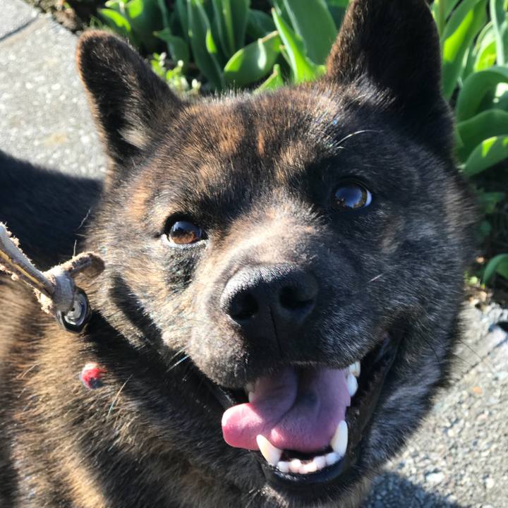 479aab5b d8ea 46cf 8b0f 0c4211f1862d 1523657392793