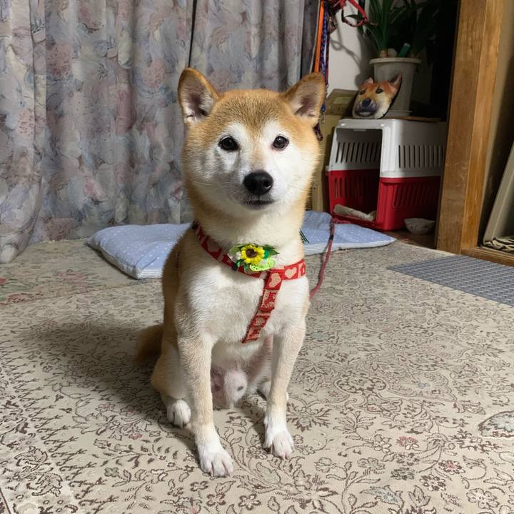 479ae67e 3222 4960 8f42 630dcef41bf6 1629463353072