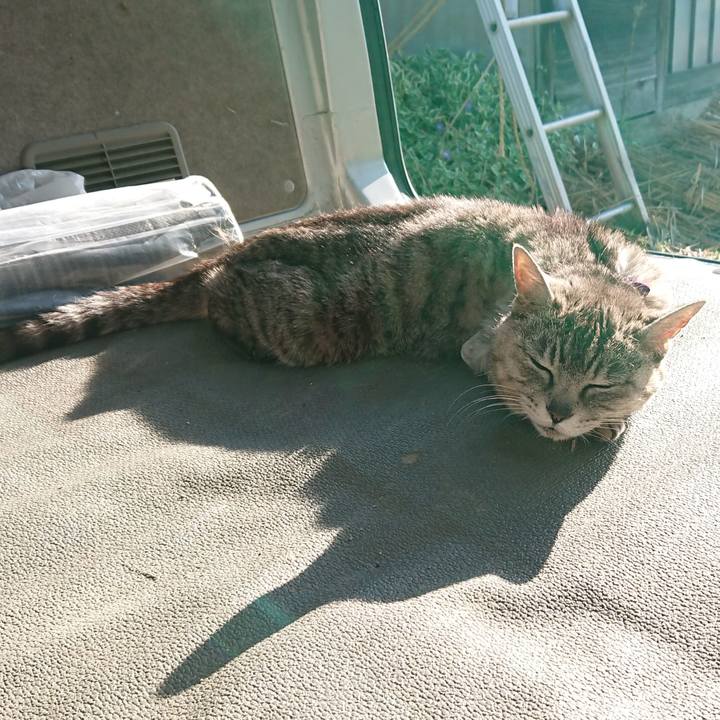 479b91e4 765d 4e24 a855 725a27bd3324 1591565707105