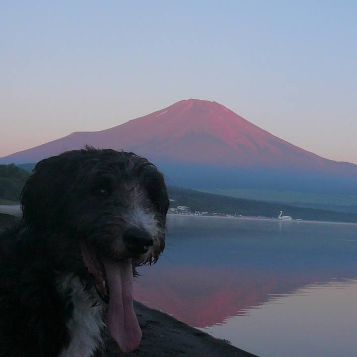 479b9a94 1b05 4d83 94d6 b3af595daded 1565772128624