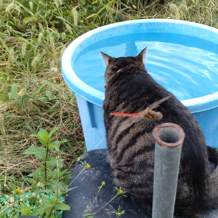 479ba59b 39ae 4530 bbbb c6f36baed2dd 1664866498770