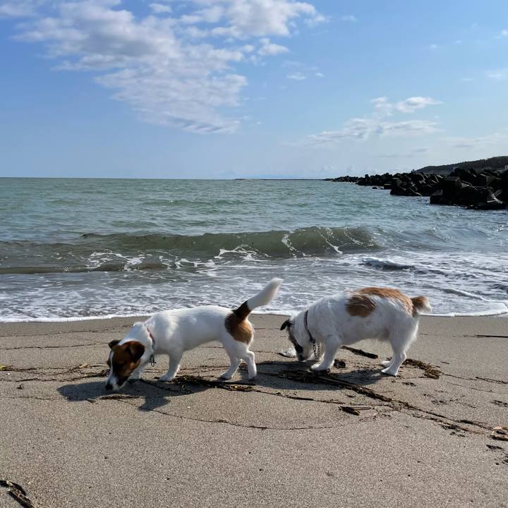 479bf7f0 4984 4ea4 9874 85d59d631e03 1651450178241