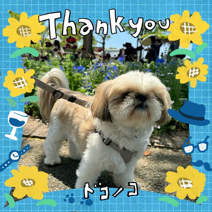 479c0a81 a01d 4702 846c 5ff49f796ff9 1718528001925