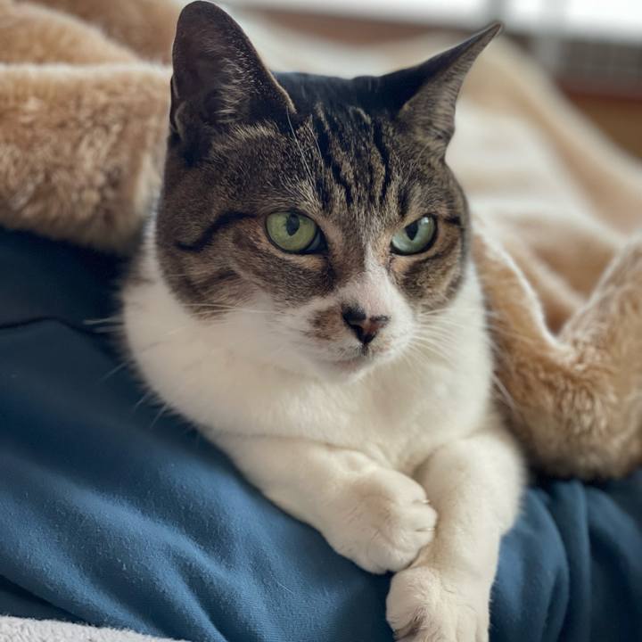 479c6d20 38c6 4b7b adc9 bed15fa4ab09 1644545823378