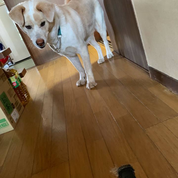 479c7da8 115c 49f6 a415 ecab680d9d86 1560383297642