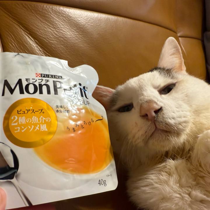 479c7e0c 551c 4646 a2d9 daa23dc14d0a 1770987608027