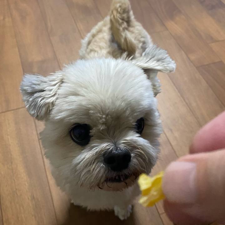 479c9d69 a8af 47ce bb95 34abc20d2acb 1737369970228