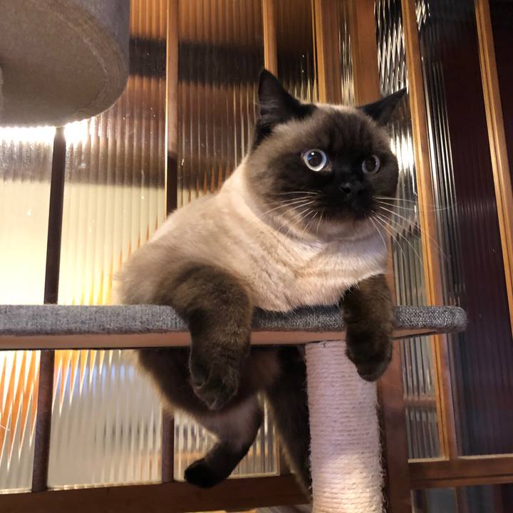 479cddfd a3e6 4ba1 832b b1ffb0c4551a 1614130349470