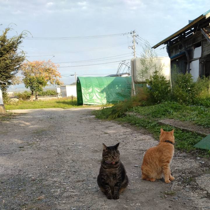 479ceacf a9b8 4a9c bd1f 565ace354b8d 1665902625104