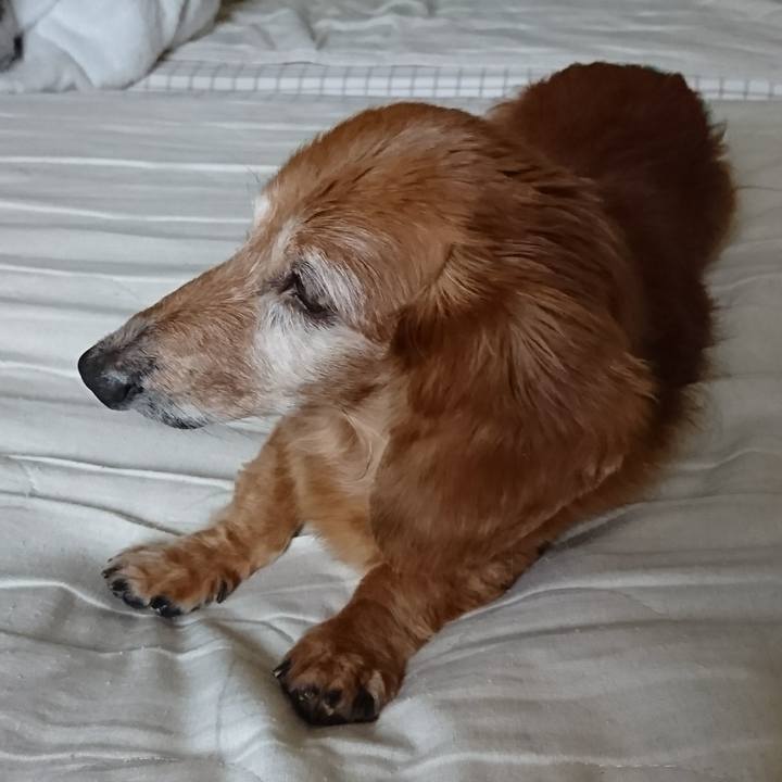 479d24ca d09c 4967 9e9c dff0fdf05cc2 1512004079689