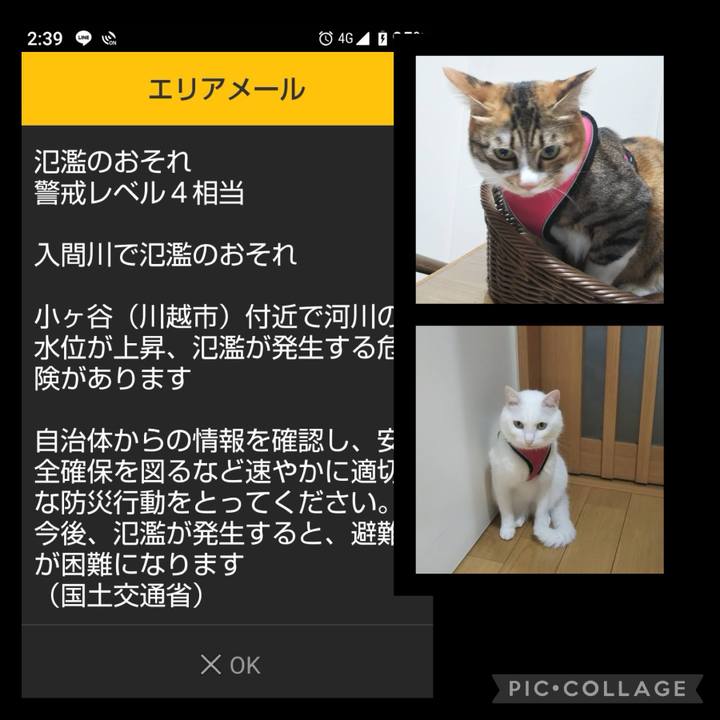 479d8fb1 ef7d 40aa 8837 b158fea2003d 1724976262409