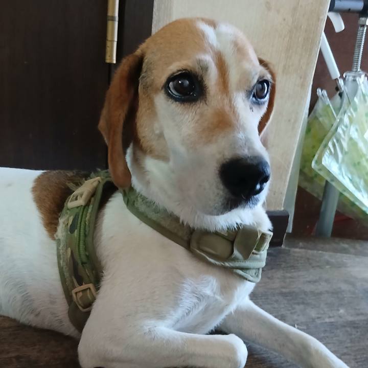 479db583 aa24 4d36 a953 5f55ff384d52 1754297568977