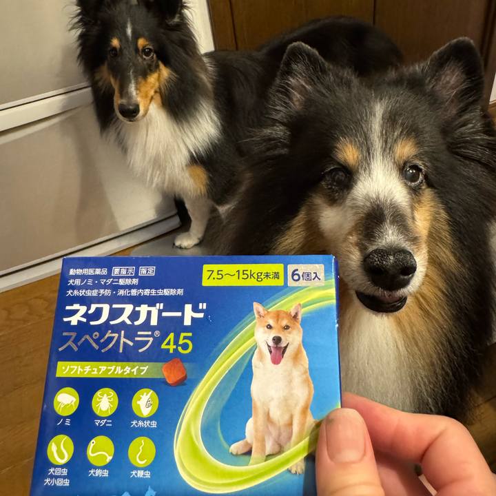 479de96d 747a 493b ad3c 0d020c9dcf5b 1756869653929