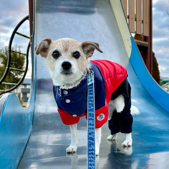 479dff6e 6a21 43ea 9c3a ed45a6dee98a 1706664055387