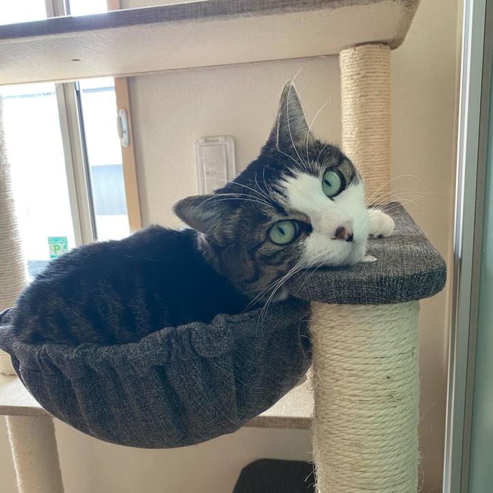 479e1789 fd15 4971 857b 898d78a24f7f 1604539492505