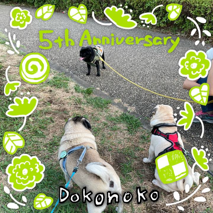 479e6589 6d1d 426c abe9 c1ee5114f3d8 1623063388609