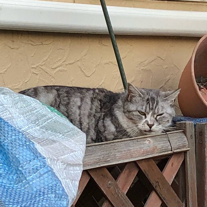 479e65b2 e18a 4711 80b8 0fb860f0fb17 1525548397176