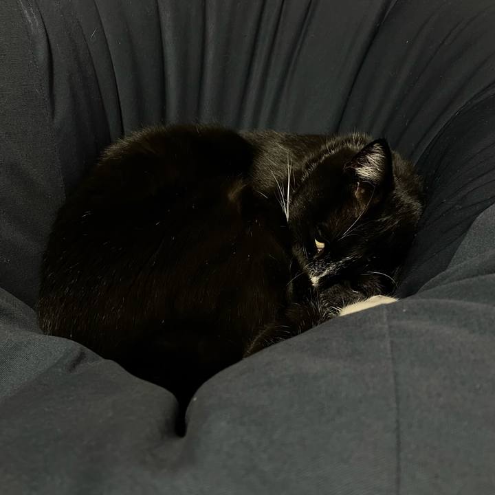 479e7350 3e53 4b5f 947d 9a3e85b514d3 1705461280987