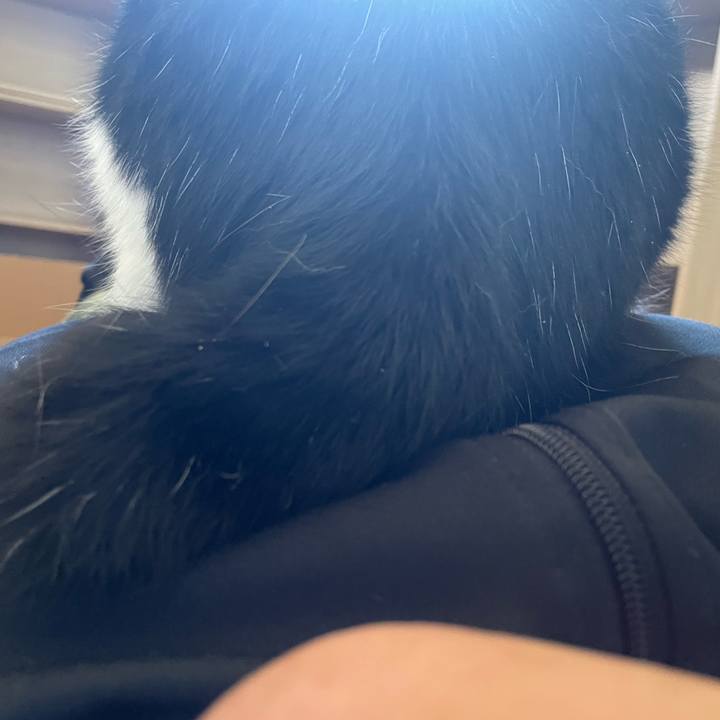 479ec791 df1b 4004 8630 2d1ddf6c44ae 1662773857392