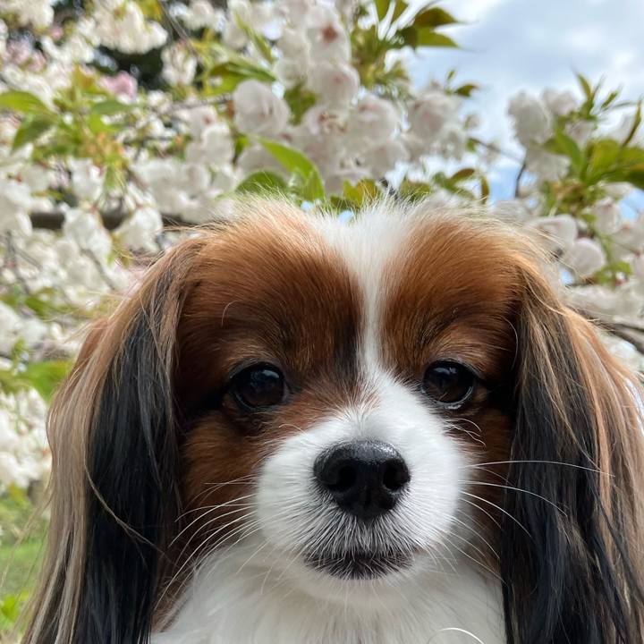 479ef654 9e20 4a16 ba12 3c217cd2b8d3 1714372021044