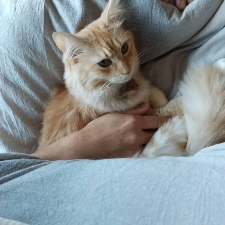 479f15e2 206a 4dcc 9358 4fd5211648c4 1634683448539